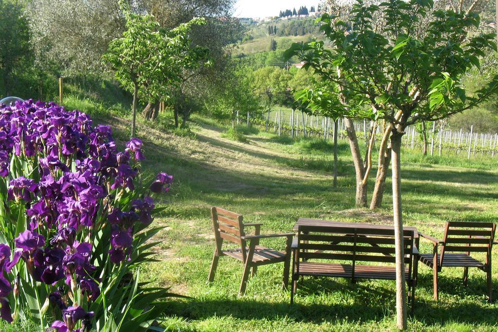 Agriturismo La Torretta Costalpino Kültér fotó