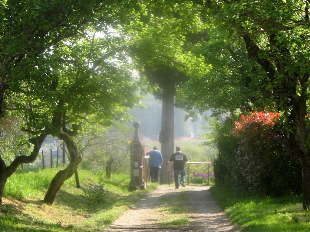 Agriturismo La Torretta Costalpino Kültér fotó