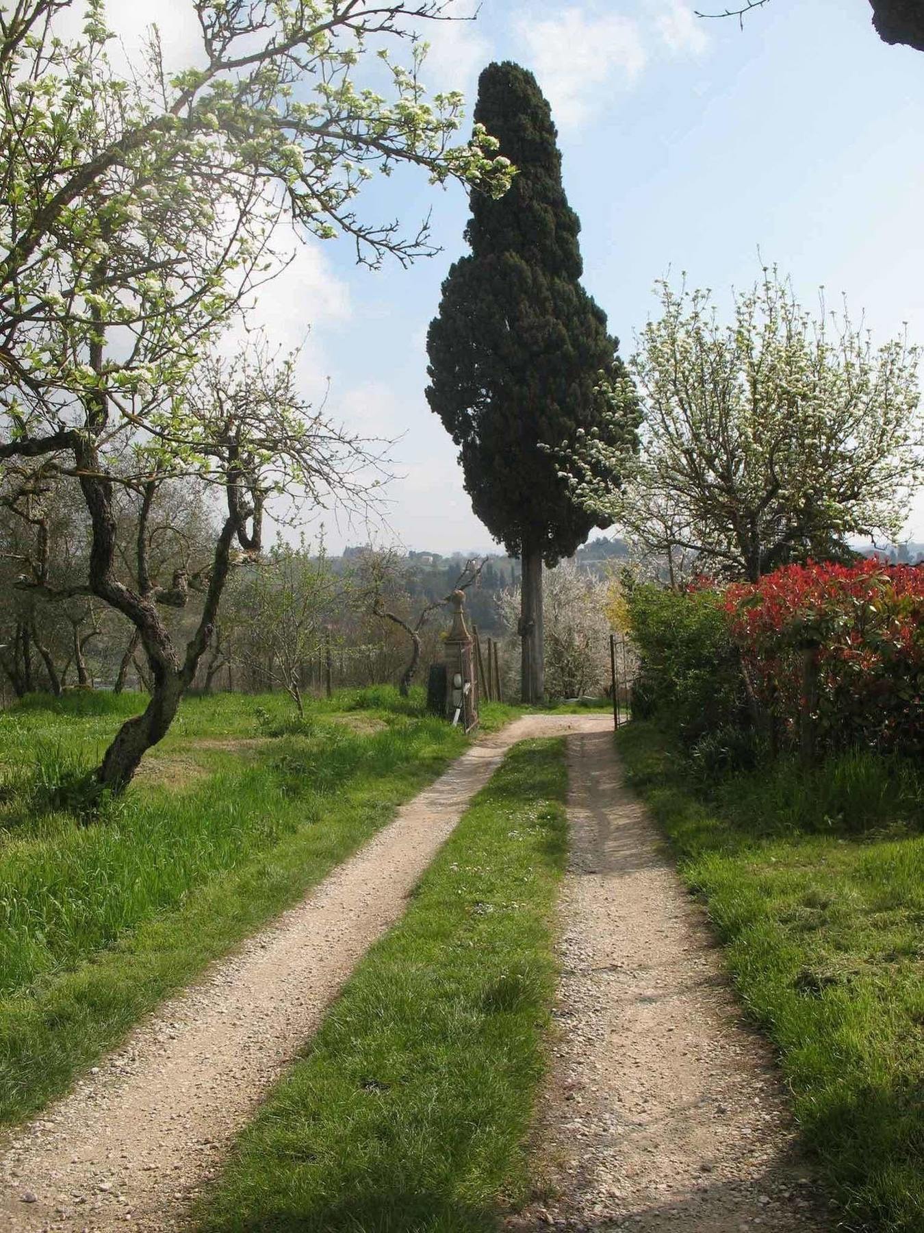 Agriturismo La Torretta Costalpino Kültér fotó
