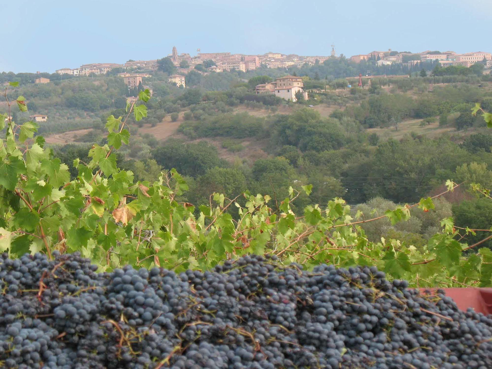 Agriturismo La Torretta Costalpino Kültér fotó