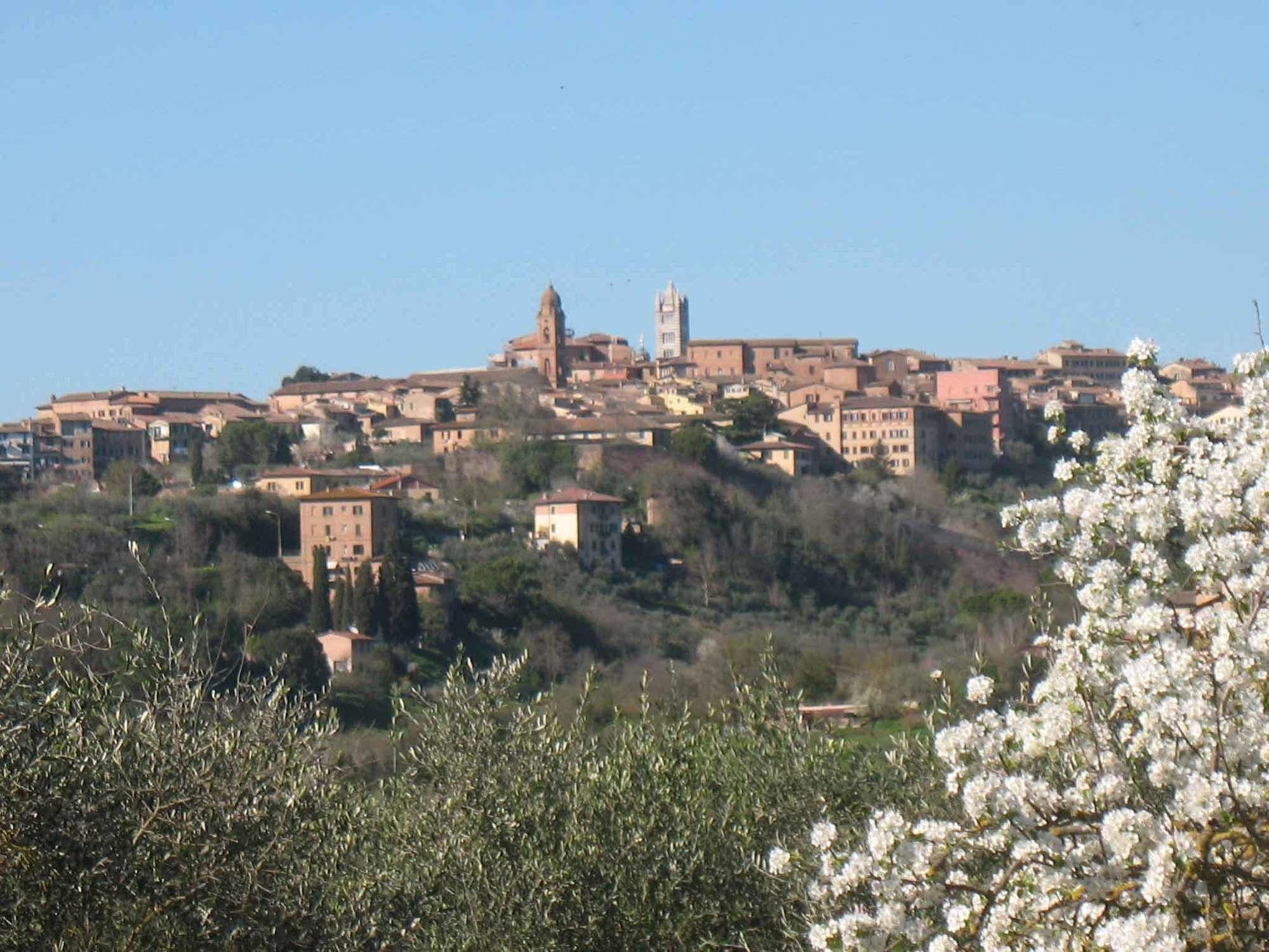Agriturismo La Torretta Costalpino Kültér fotó